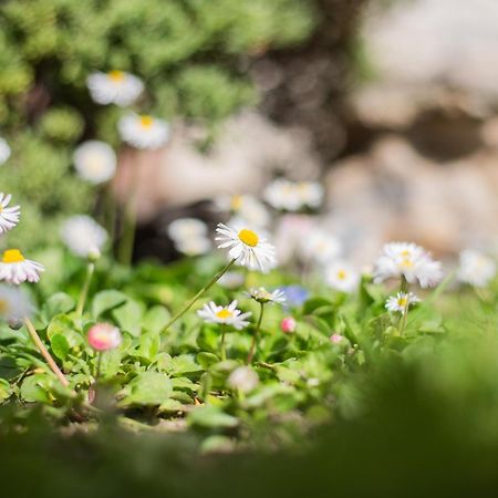 모르터 Baienhof 아파트 외부 사진